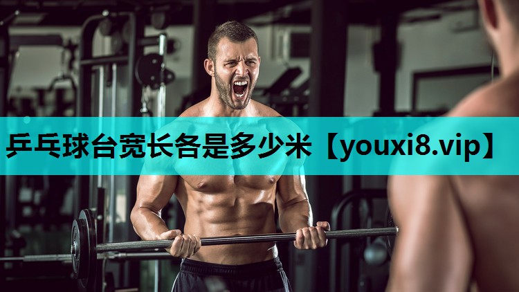 乒乓球台宽长各是多少米