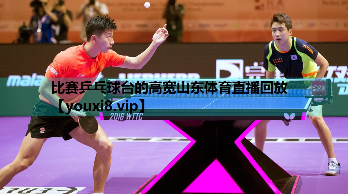 比赛乒乓球台的高宽山东体育直播回放
