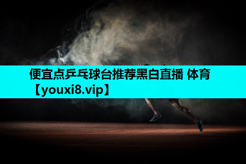 便宜点乒乓球台推荐黑白直播 体育