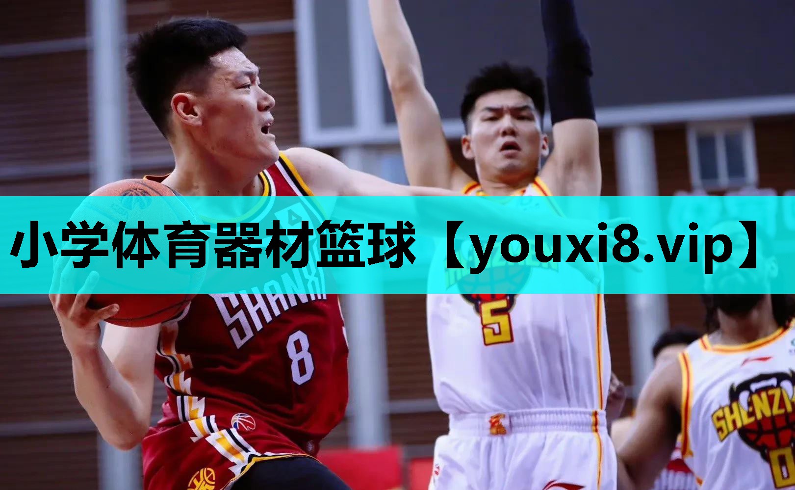 小学体育器材篮球
