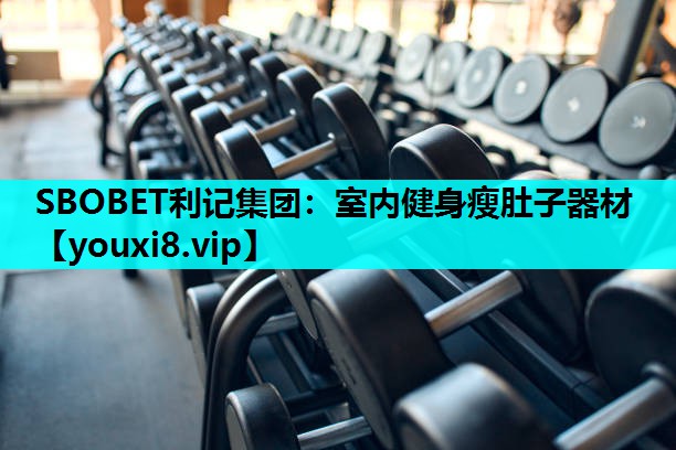 室内健身瘦肚子器材