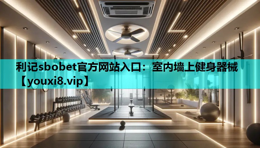 室内墙上健身器械