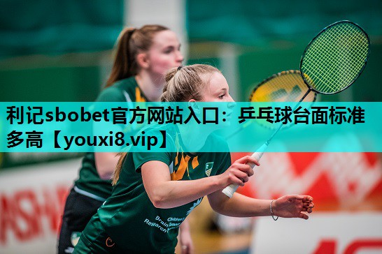 乒乓球台面标准多高